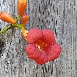 Meet your Posher, Cathryn